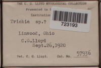 Image Associated With the Occurence